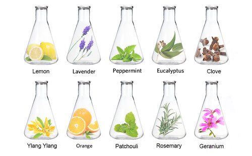 LagunaMoon Aroma Essential Oils Gift Set 10Pc