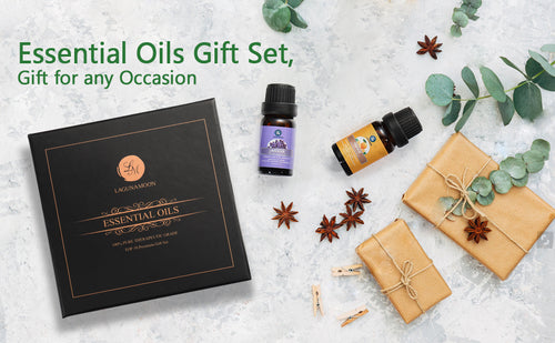 LagunaMoon Aroma Essential Oils Gift Set 10Pc